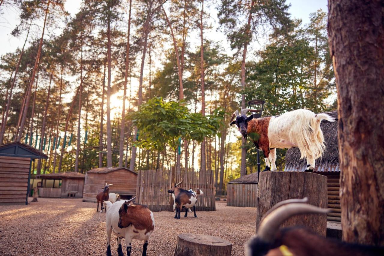Center Parcs Les Hauts De Bruyeres Aldeamento Turístico Chaumont-sur-Tharonne